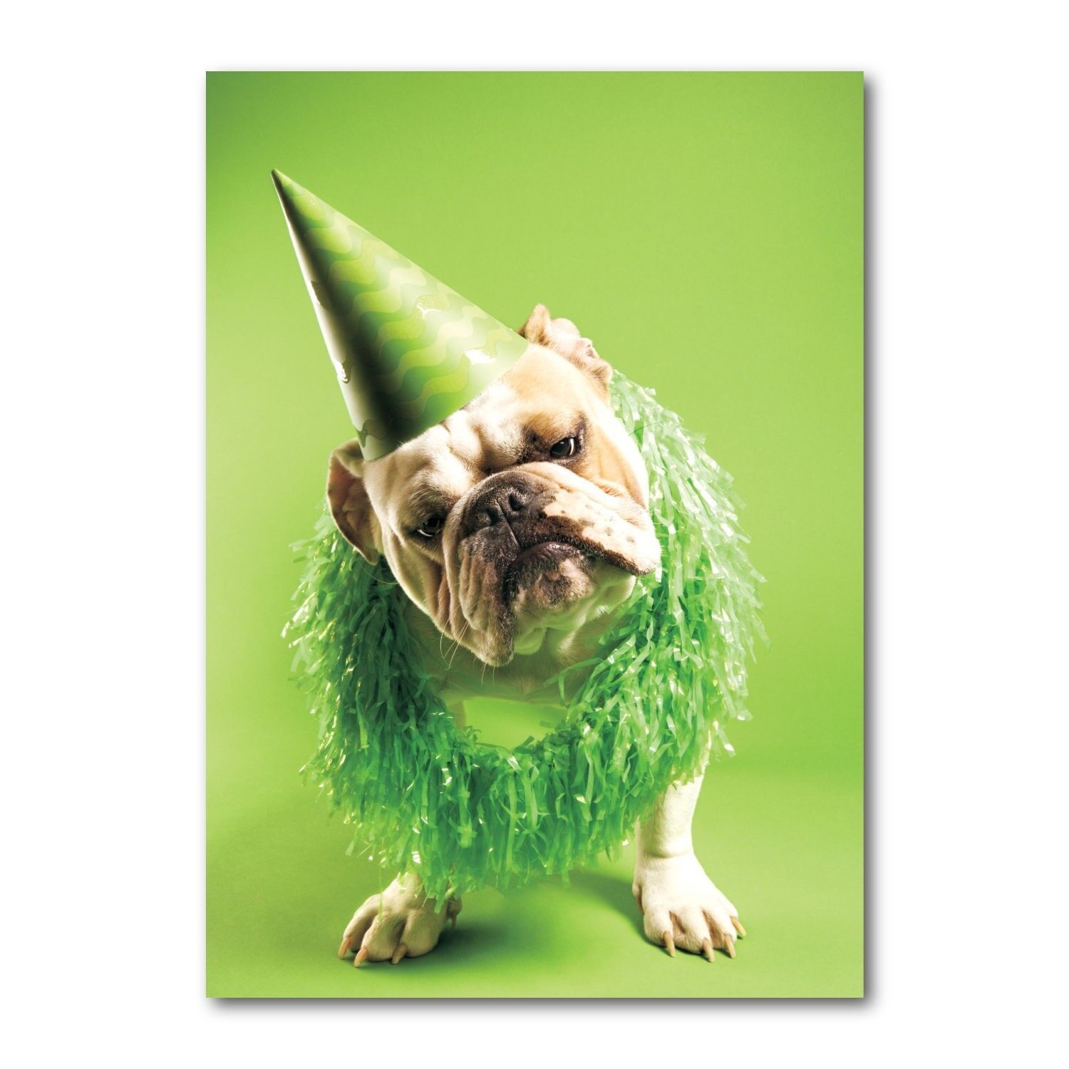 Cartolina formato orizzontale colore DIN A6 MG1472