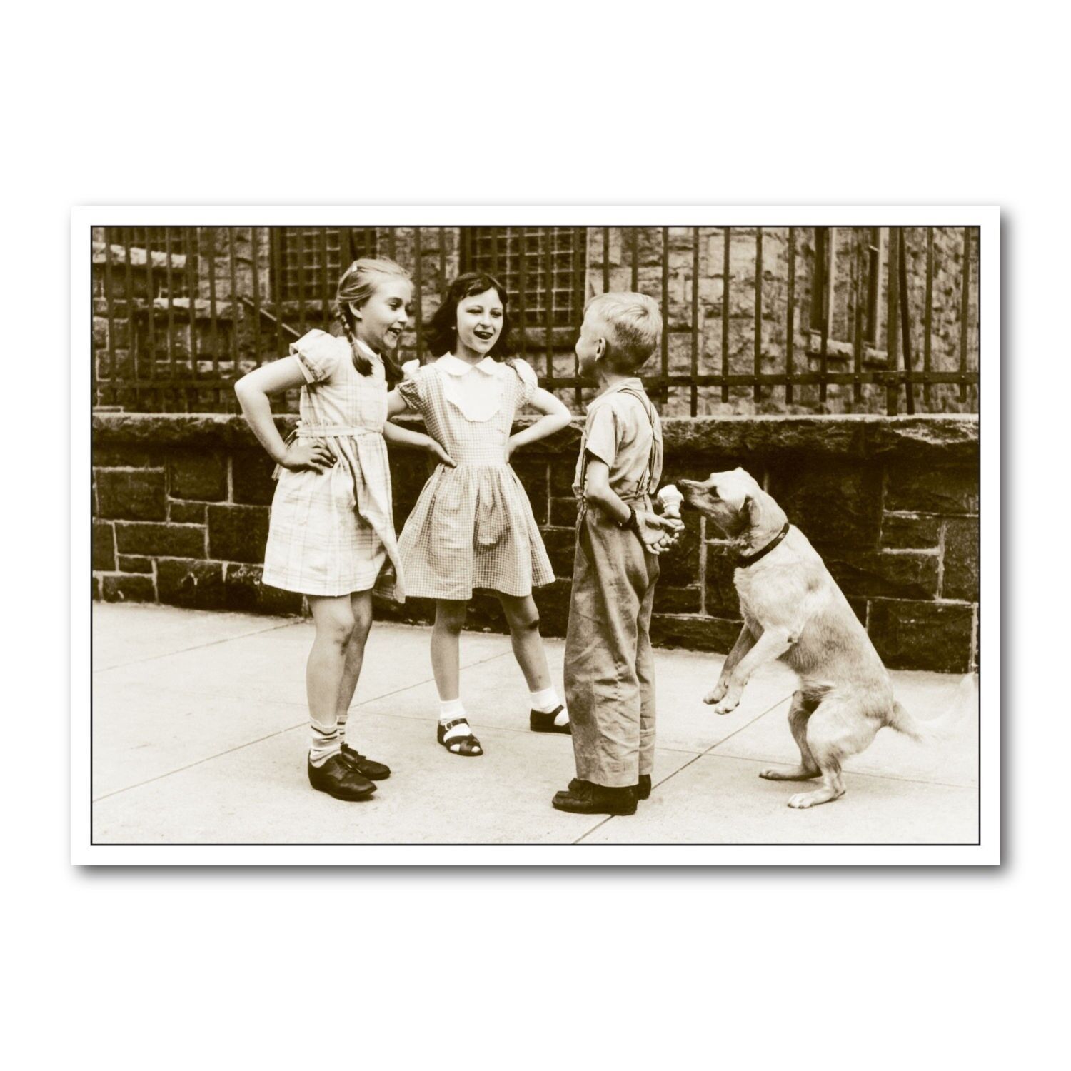 Cartolina formato orizzontale b/n DIN A6 MG1660