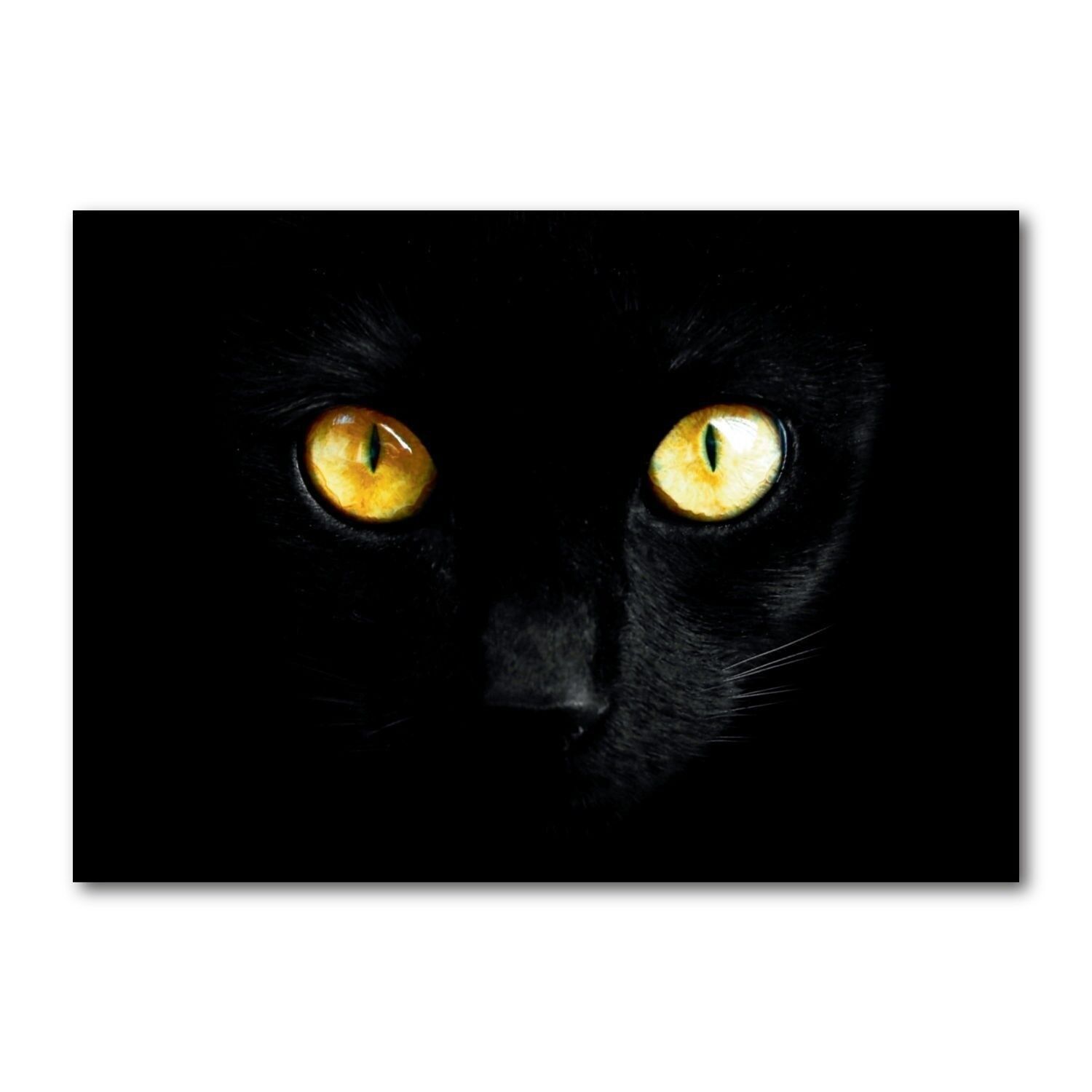 Cartolina formato orizzontale colore DIN A6 MG1760