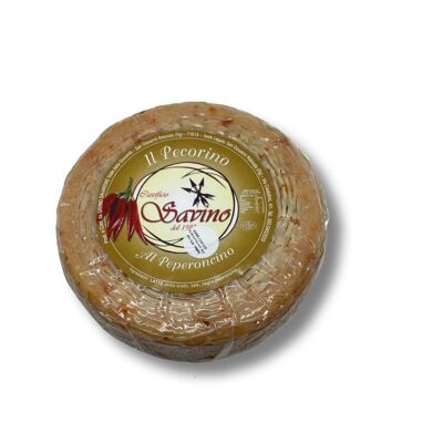 Gereifter Trockenkäse - Pecorino al peperoncino - Pecorino mit Chilischoten in Gargano-Schafsmilch (2kg)