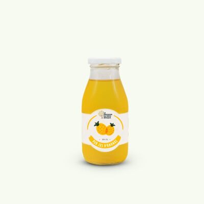 Pineapple Juice 25cl - Basque Country Press