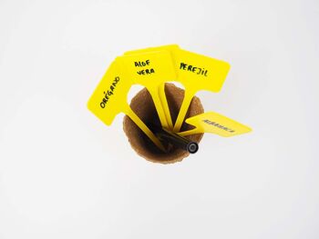 Étiquettes en T en plastique jaune (10u) - NAME ME T 1