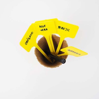 Yellow plastic T-tags (10u) - NAME ME T