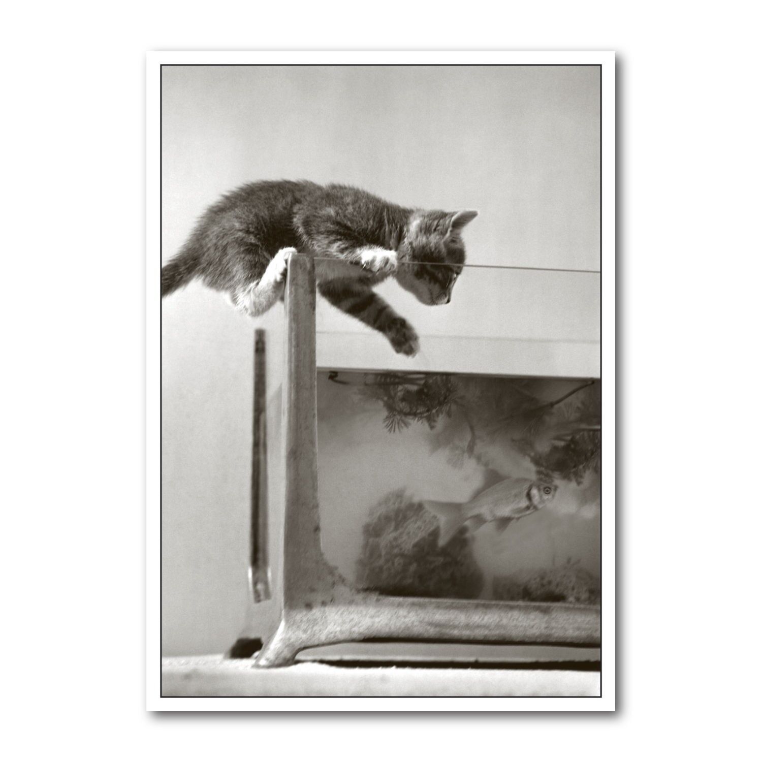 Cartolina formato orizzontale b/n DIN A6 MG1797