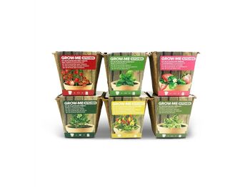 Kit de culture Basilic - GROW ME KITCHEN ALBAHACA 4