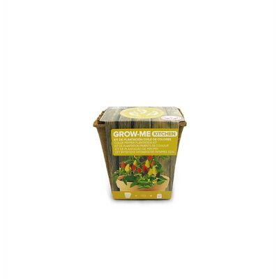 Multicolored chili growing kit - GROW ME KITCHEN CHILE