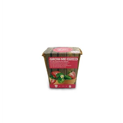 Kit de culture de fraises - GROW ME KITCHEN STRAWBERRIES