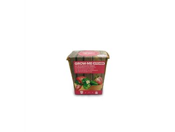 Kit de culture de fraises - GROW ME KITCHEN STRAWBERRIES 1