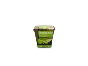 Kit de culture de laitue romaine - GROW ME PATIO LETTUCE 1