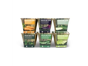 Kit de Culture Concombre Long Vert - GROW ME PATIO PEPINO 4