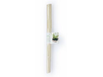 Bâtonnets de bambou naturel 30cm (20u) - BAMBOO STICK 30 3