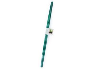 Bâtonnets de bambou vert 30cm (20u) - BAMBOO STICK GREEN 30 3