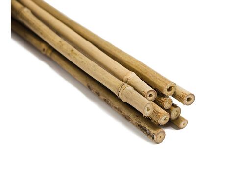 Tutor de bambú natural 60 cm (5u) - TUTOBAMBÚ 60