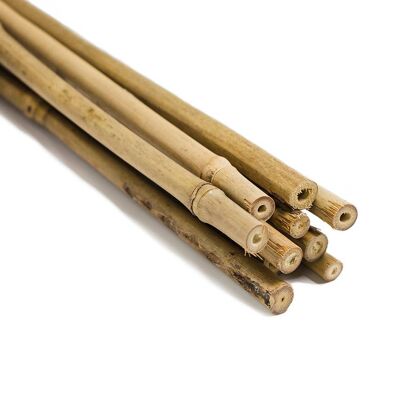 Pfahl aus natürlichem Bambus 60 cm (5 Stück) - TUTOBAMBÚ 60