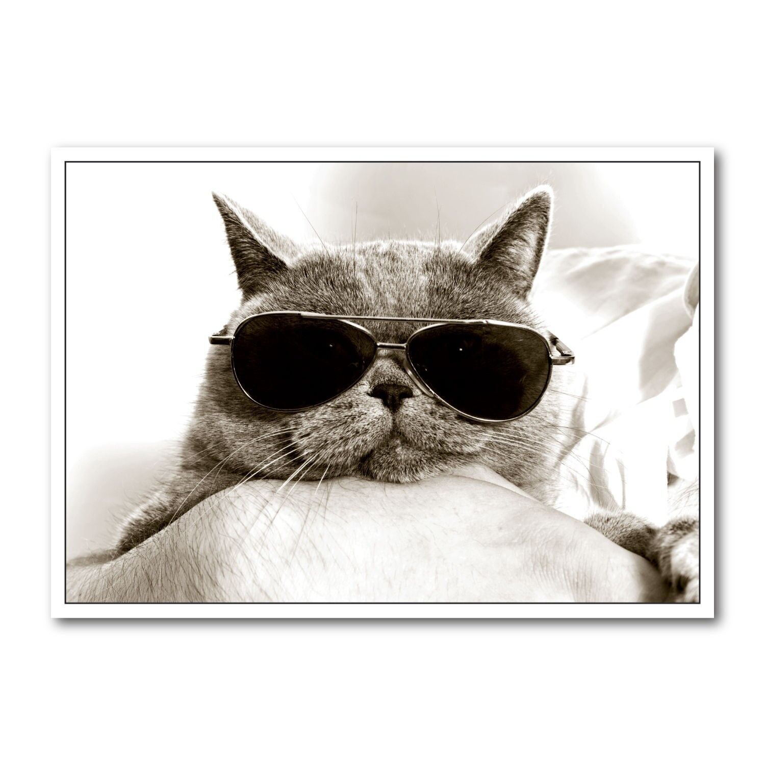 Cartolina formato orizzontale b/n DIN A6 MG1818