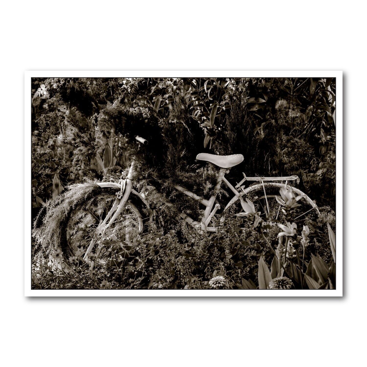 Cartolina formato orizzontale b/n DIN A6 MG1825