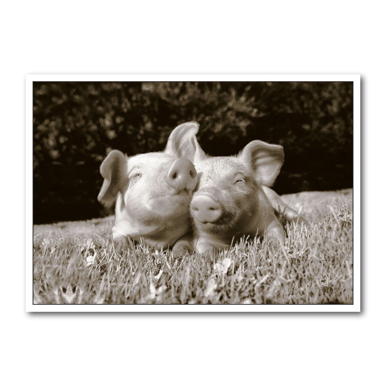 Cartolina formato orizzontale b/n DIN A6 MG1827