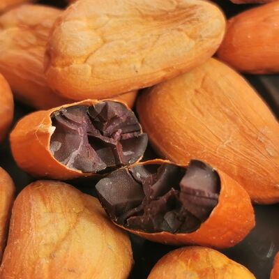 Organic Cacao Criollo Raw - Fairtrade beans - 250 g