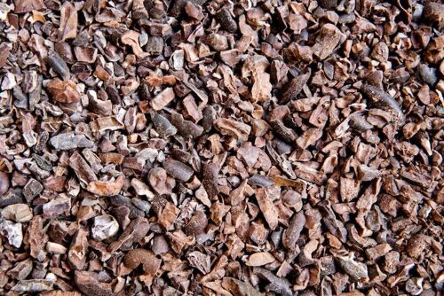 Cacao Criollo Cru BIO - Pépites - 250 g