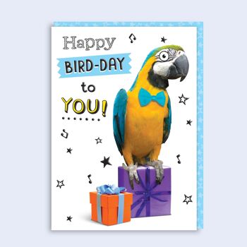 Just Fur Fun Carte d'anniversaire Happy Bird-day 55 1