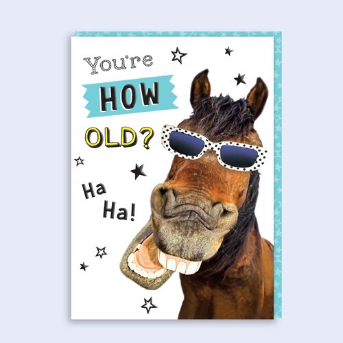 Just Fur Fun Birthday Card Horse 55