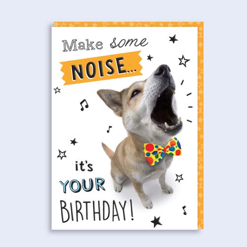 Just Fur Fun Birthday Card Make some Noise 55