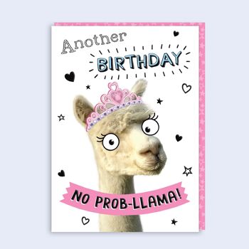 Just Fur Fun Birthday Card No prob-Llama 55 1