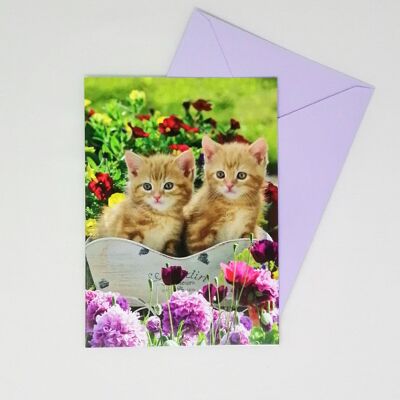 Just to Say  Blank Card Kittens 55