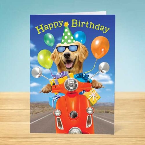 The Write Thoughts Birthday Card Happy Dog 45