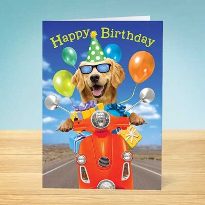 La tarjeta de cumpleaños Write Thoughts Happy Dog 45