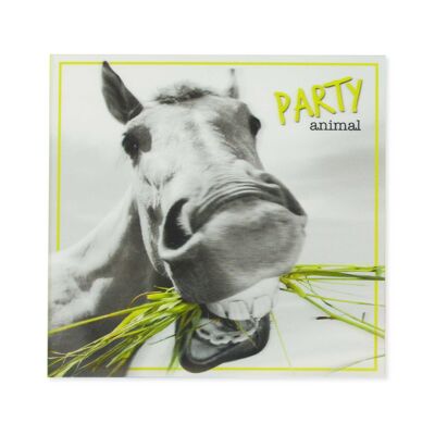 Une touche de couleur Cartes 3D Party Animal 125