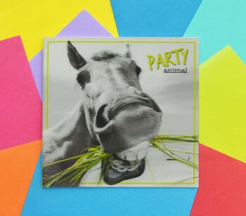 Une touche de couleur Cartes 3D Party Animal 125 5