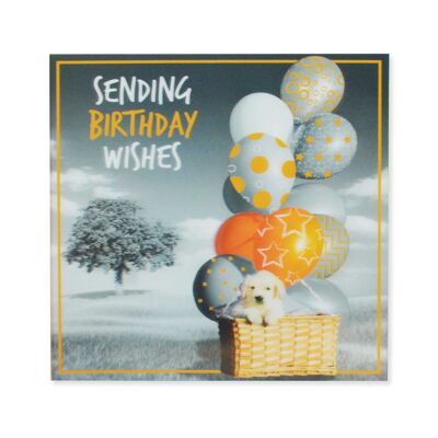 A Splash Of Colour 3D Cards  Birthday Wishes 125