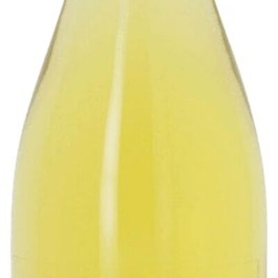 Vin blanc AOC CÔTES DU RHÔNE "TERRA 6840, Blanc 2022". Vin floral et léger