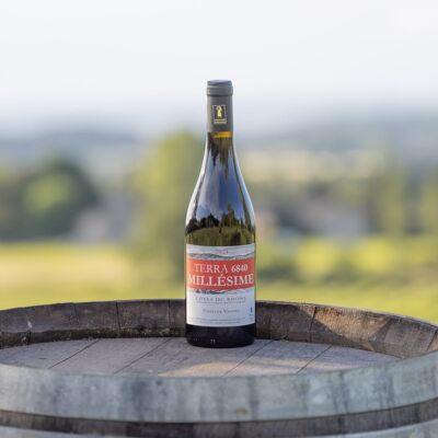 Vino tinto AOC CÔTES DU RHÔNE “TERRA 6840, Añada 2021”. Vino tinto ligero y muy afrutado.
