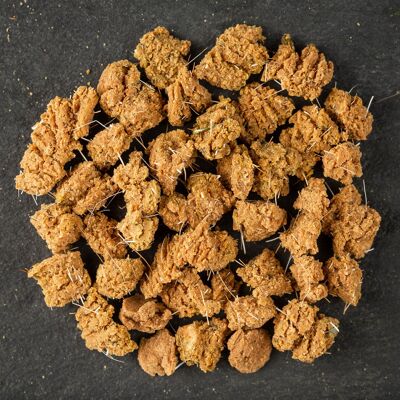 Training/Small Sized Treats - Hairy Wild Venison Kuli Bites - 65g