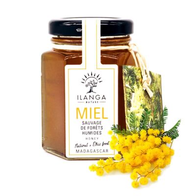 Humid Forest Honey 140g