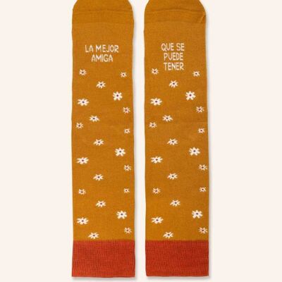 "The best friend you can have" socks