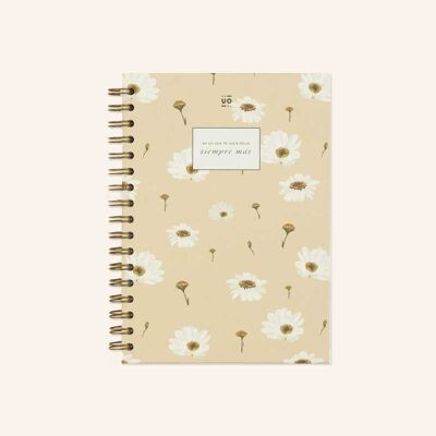 Notebook "Always more"