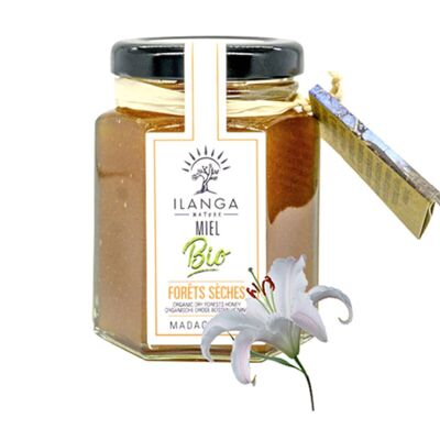 Organic Dry Forest Honey 140g