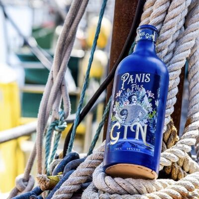 Gin Panis&Fils 70 Cl