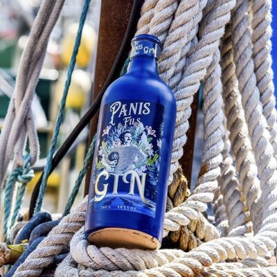 Gin Panis&Fils 70 Cl