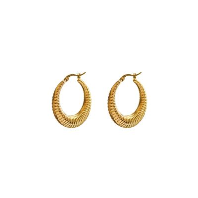 Alga hoop earrings - Gold