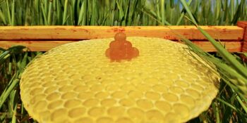 sphères de miel 3