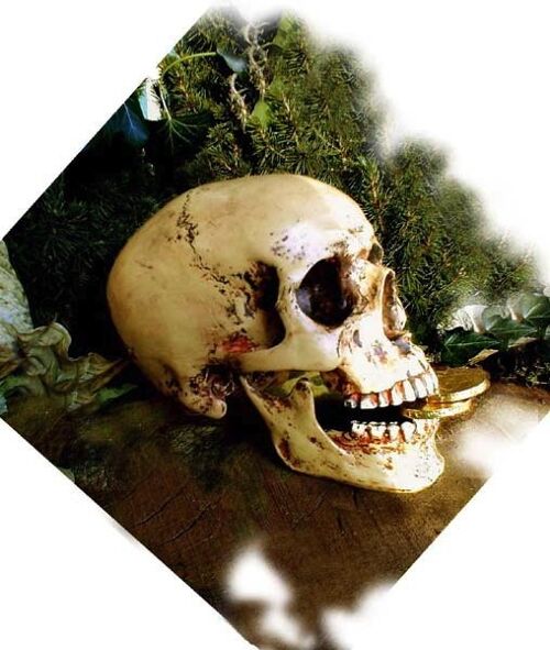 Schädel, anatomisch lebensecht, Totenkopf, Totenschädel + Unterkiefer, Gothik