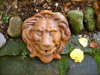 Sortie d'eau tête de lion gargouille lion pour fontaine murale fontaine accessoires bec