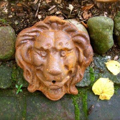 Wasserauslauf Löwenkopf Wasserspeier Löwe für Wandbrunnen Brunnen Zubehör Speier