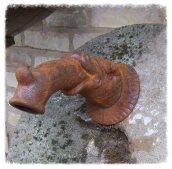 Gargouille, bec de fontaine, poisson mythique, pour fontaine murale, bec