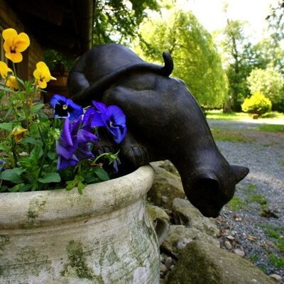 Skulptur Katze, lebendige Tierfiguren, Kätzchen, in Sprungposition Tinka