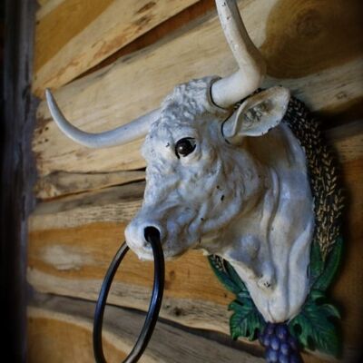 Stier, Büffel Kopf im Cowboy-Look mit Anbindering Country Western Wanddekoration